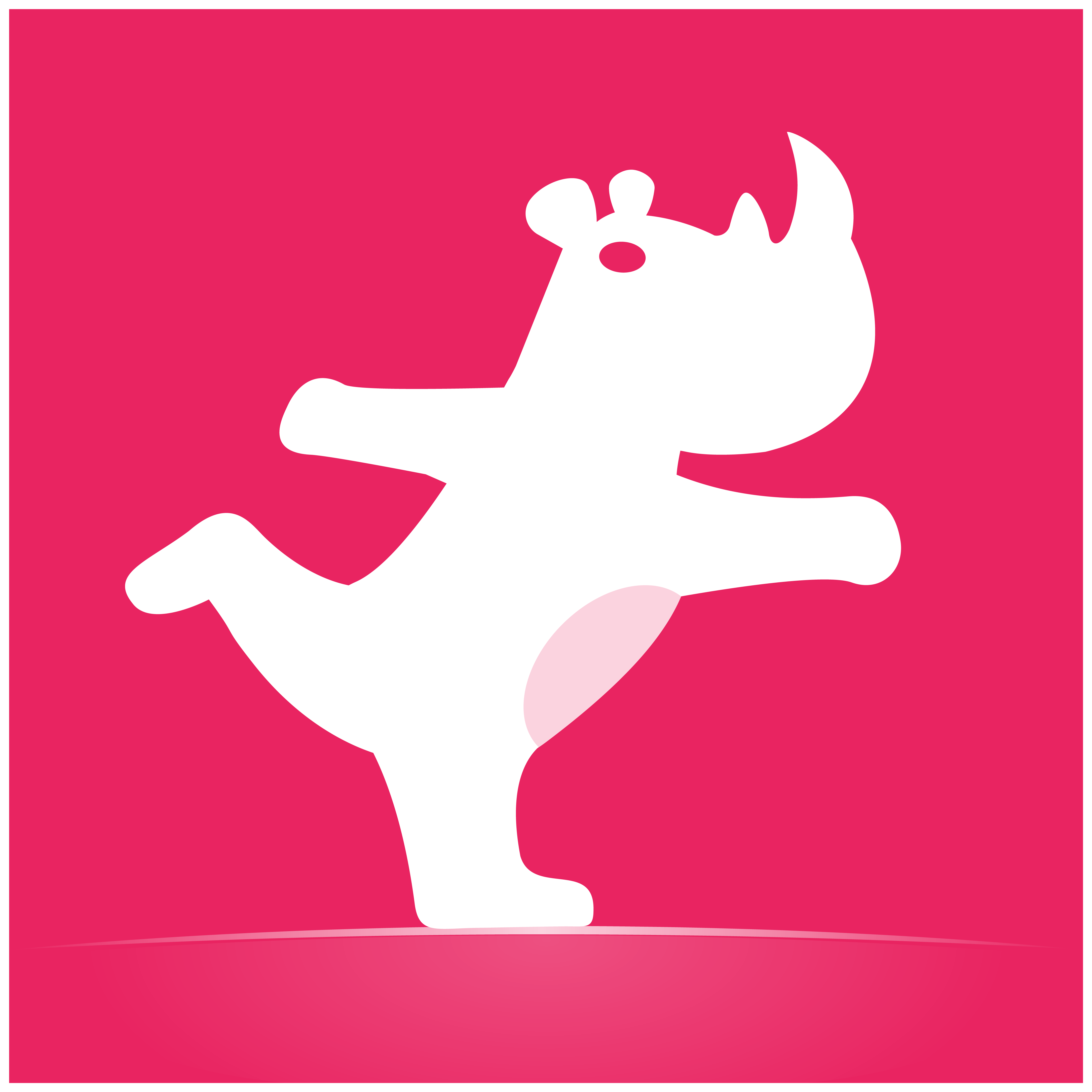 NanoRhino logo